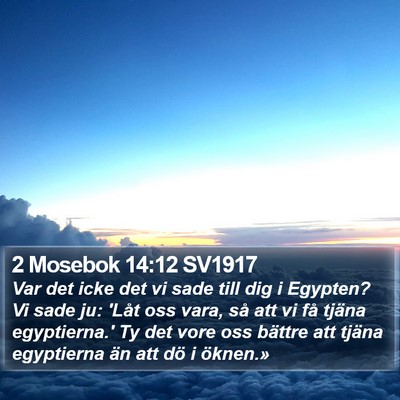 2 Mosebok 14:12 SV1917 Bible Verse Image