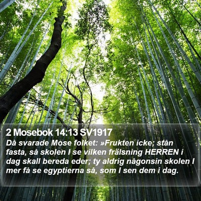 2 Mosebok 14:13 SV1917 Bible Verse Image