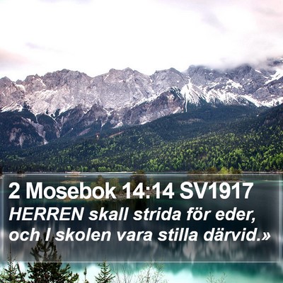 2 Mosebok 14:14 SV1917 Bible Verse Image