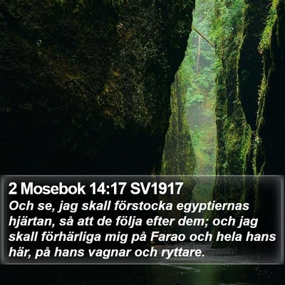 2 Mosebok 14:17 SV1917 Bible Verse Image