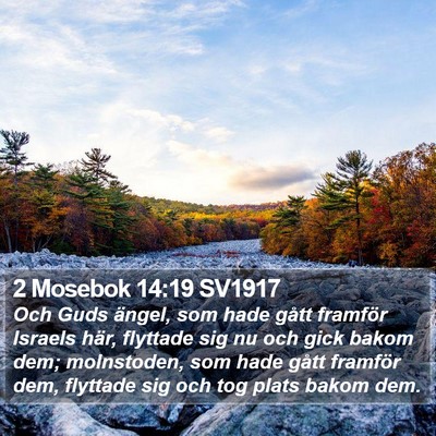 2 Mosebok 14:19 SV1917 Bible Verse Image