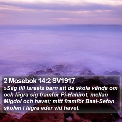 2 Mosebok 14:2 SV1917 Bible Verse Image