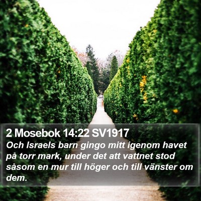 2 Mosebok 14:22 SV1917 Bible Verse Image