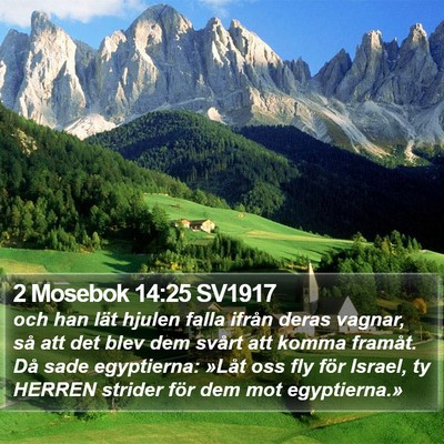 2 Mosebok 14:25 SV1917 Bible Verse Image