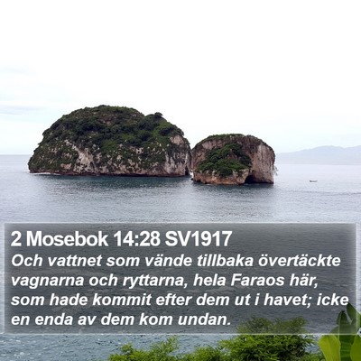 2 Mosebok 14:28 SV1917 Bible Verse Image