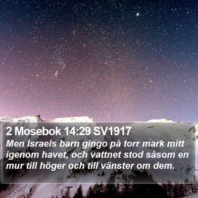 2 Mosebok 14:29 SV1917 Bible Verse Image