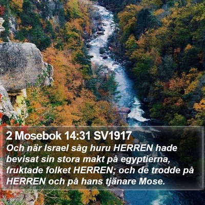 2 Mosebok 14:31 SV1917 Bible Verse Image