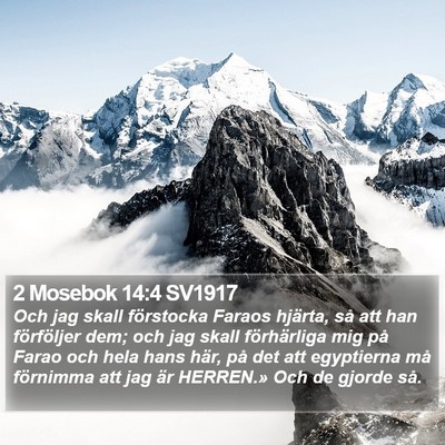 2 Mosebok 14:4 SV1917 Bible Verse Image