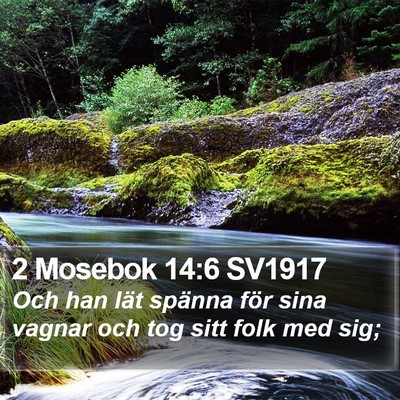 2 Mosebok 14:6 SV1917 Bible Verse Image