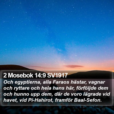2 Mosebok 14:9 SV1917 Bible Verse Image