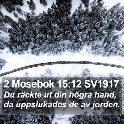 2 Mosebok 15:12 SV1917 Bible Verse Image