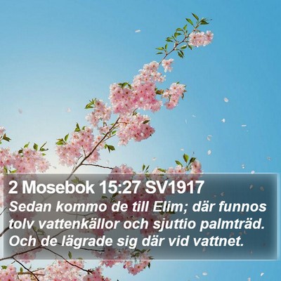 2 Mosebok 15:27 SV1917 Bible Verse Image