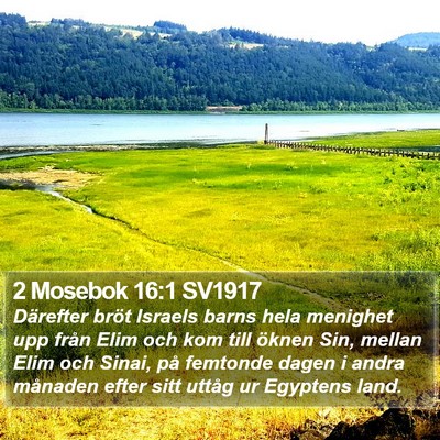 2 Mosebok 16:1 SV1917 Bible Verse Image