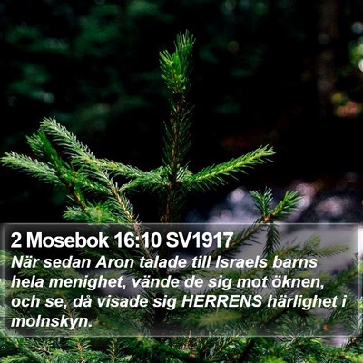 2 Mosebok 16:10 SV1917 Bible Verse Image
