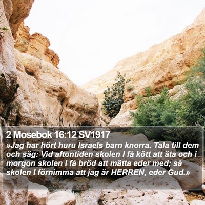 2 Mosebok 16:12 SV1917 Bible Verse Image
