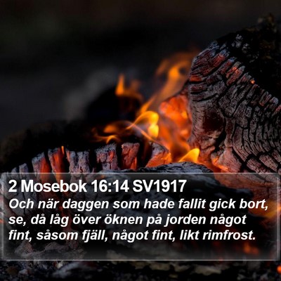 2 Mosebok 16:14 SV1917 Bible Verse Image