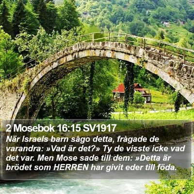 2 Mosebok 16:15 SV1917 Bible Verse Image