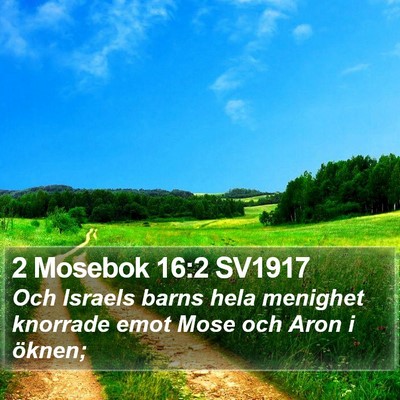 2 Mosebok 16:2 SV1917 Bible Verse Image