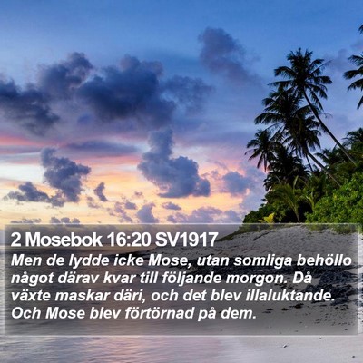 2 Mosebok 16:20 SV1917 Bible Verse Image