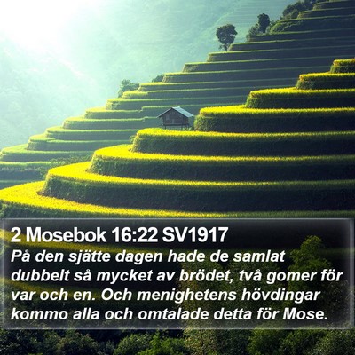 2 Mosebok 16:22 SV1917 Bible Verse Image