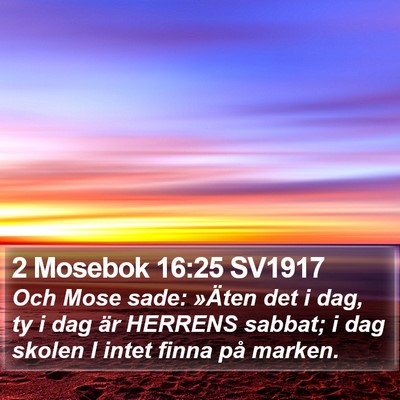 2 Mosebok 16:25 SV1917 Bible Verse Image