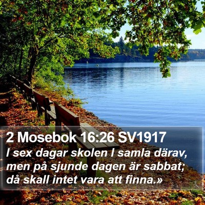 2 Mosebok 16:26 SV1917 Bible Verse Image