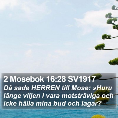 2 Mosebok 16:28 SV1917 Bible Verse Image