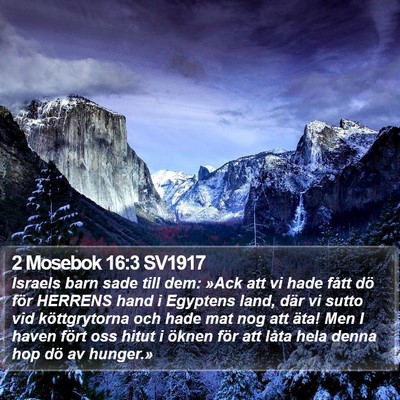 2 Mosebok 16:3 SV1917 Bible Verse Image