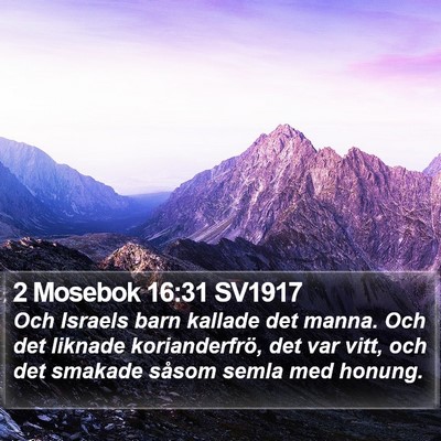 2 Mosebok 16:31 SV1917 Bible Verse Image