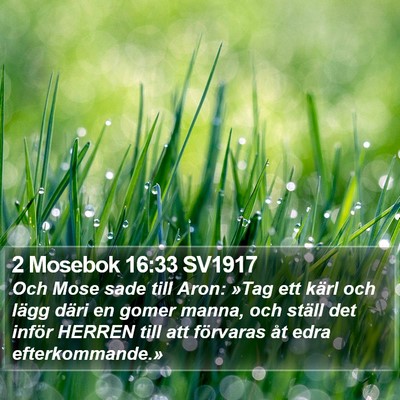 2 Mosebok 16:33 SV1917 Bible Verse Image