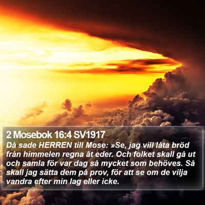 2 Mosebok 16:4 SV1917 Bible Verse Image