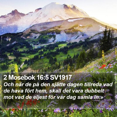2 Mosebok 16:5 SV1917 Bible Verse Image