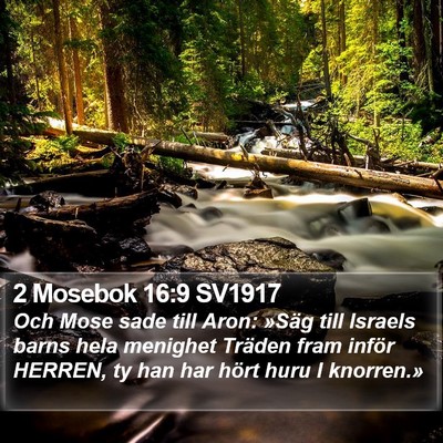 2 Mosebok 16:9 SV1917 Bible Verse Image