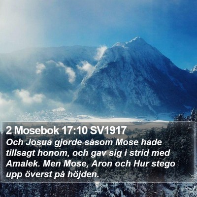 2 Mosebok 17:10 SV1917 Bible Verse Image
