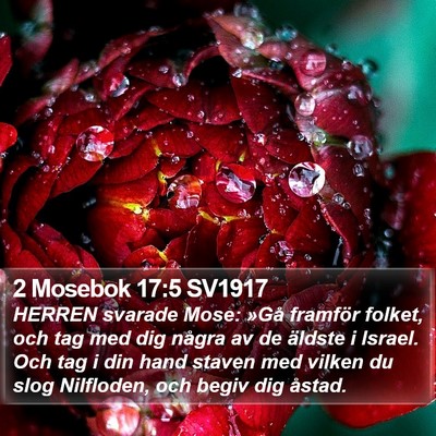 2 Mosebok 17:5 SV1917 Bible Verse Image