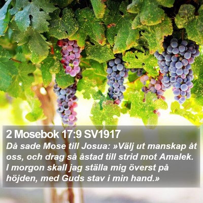 2 Mosebok 17:9 SV1917 Bible Verse Image