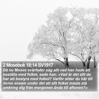 2 Mosebok 18:14 SV1917 Bible Verse Image