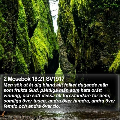 2 Mosebok 18:21 SV1917 Bible Verse Image