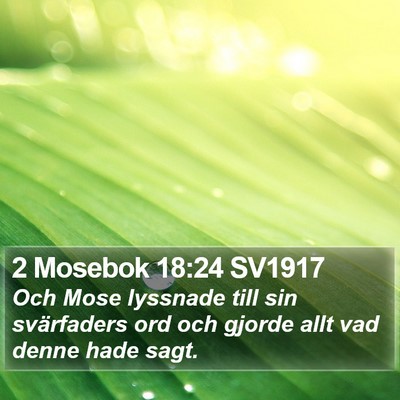 2 Mosebok 18:24 SV1917 Bible Verse Image