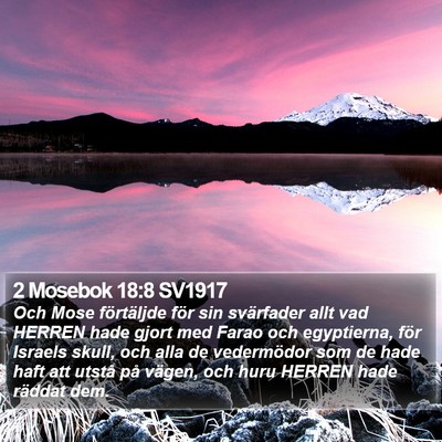 2 Mosebok 18:8 SV1917 Bible Verse Image