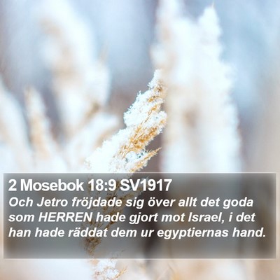 2 Mosebok 18:9 SV1917 Bible Verse Image