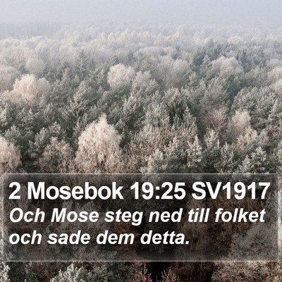 2 Mosebok 19:25 SV1917 Bible Verse Image
