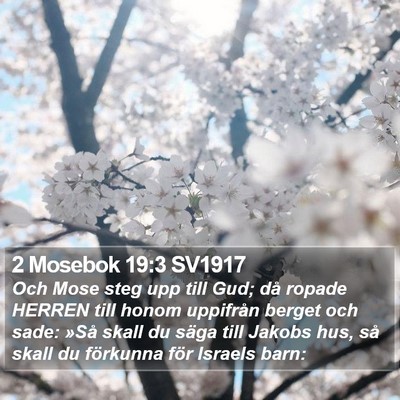 2 Mosebok 19:3 SV1917 Bible Verse Image