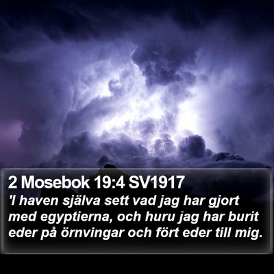 2 Mosebok 19:4 SV1917 Bible Verse Image