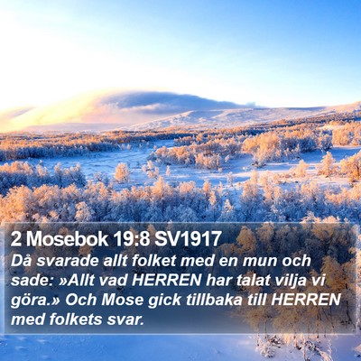 2 Mosebok 19:8 SV1917 Bible Verse Image