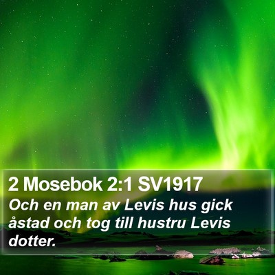 2 Mosebok 2:1 SV1917 Bible Verse Image