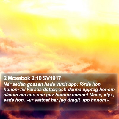 2 Mosebok 2:10 SV1917 Bible Verse Image