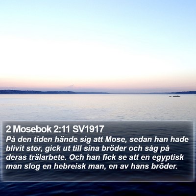 2 Mosebok 2:11 SV1917 Bible Verse Image