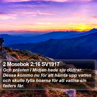2 Mosebok 2:16 SV1917 Bible Verse Image
