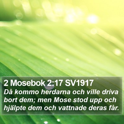 2 Mosebok 2:17 SV1917 Bible Verse Image